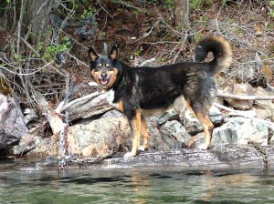 best picture of Cora ever